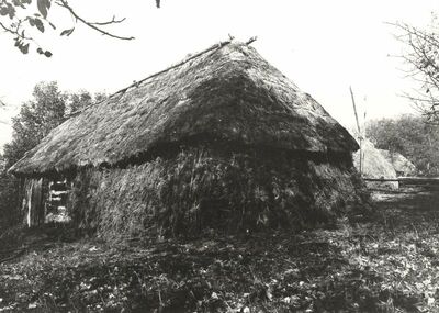 Martinski Vrh (Ribnik) - Gospodarska zgrada