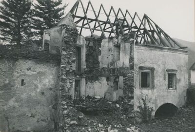 Bela (Novi Marof) - dvor I