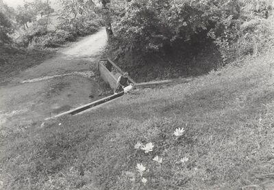 Cerovica - Izvor vode