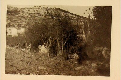 Split, Crikvine-Kaštelet