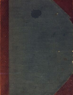 Scritti e stampati che siriferiscono a Giuseppina Martinuzzie al suo giornale „Pro Patria“ = Napisi i tiskovine koji se odnose na Giuseppinu Martinuzzii na njezin časopis „Pro Patria“; velika knjiga s fotografijom autorice, rukopisi nalijepljeni u teku, rukopisno numeriranus