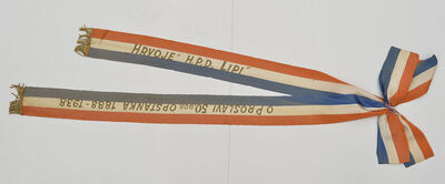 Zastavna vrpca društva 