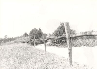 Donji Hruševec - Ograda