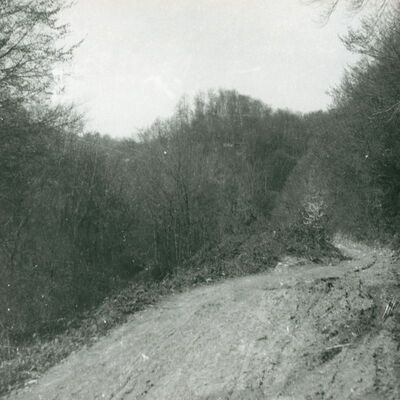 Zelingrad - Stari grad Zelingrad, situacija