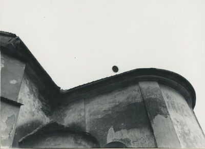 Ludbreg - Župna crkva sv. Trojstva, detalj