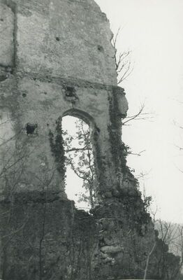 Vojnovec Loborski (Lobor) - Burg, ruševina