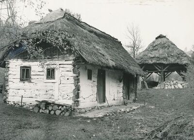 Tomašnica (Ozalj) - Tradicijska kuća, zabatno i ulazno pročelje