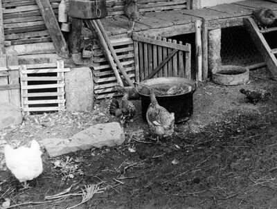 Dio seoskog dvorišta