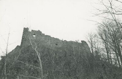 Belec (Zlatar) - Stari grad