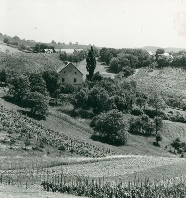 Donja Drenova - Kurija Omilje, situacija