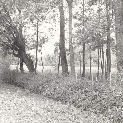 Drenje Šćitarjevsko - Ograda