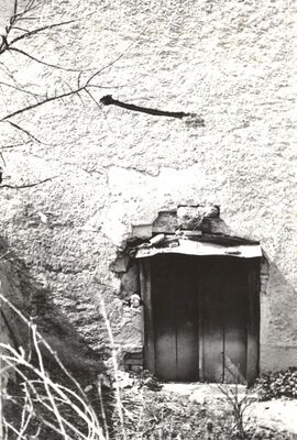 Kraj Donji - Kurija, podrumska vrata