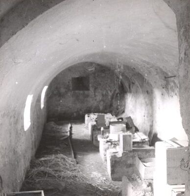 Slavetić - Dvorac Oršić, podrum južnog krila