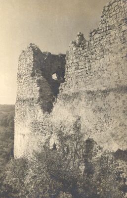 Okić - Srednjovjekovni grad, zidine