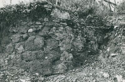 Zelingrad - Stari grad Zelingrad, detalj gradskog platna