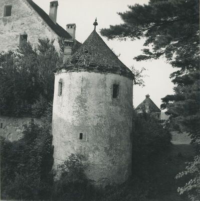 Bela (Novi Marof) - dvor