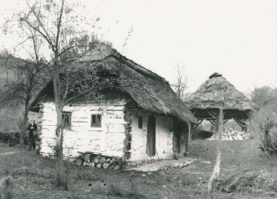 Tomašnica (Ozalj) - Tradicijska kuća, zabatno i ulazno pročelje