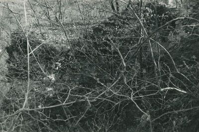 Vinica Breg (Vinica) - ruševine srednjovjekovnog grada