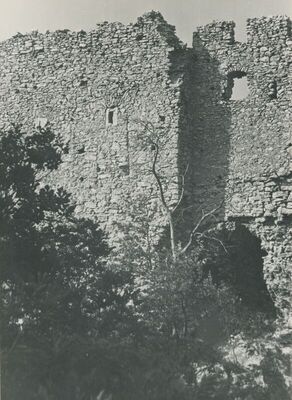Grtovec (Budinščina) - Srednjovjekovni grad Milengrad
