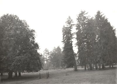 Jastrebarsko - Dvorac Erdődy, detalj parka