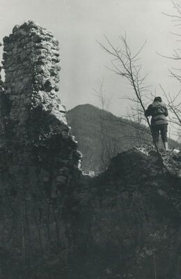 Vojnovec Loborski (Lobor) - Burg, ruševina