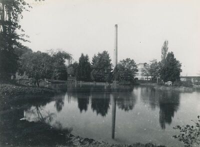 Oroslavje - Dvorac Oroslavje Gornje, park