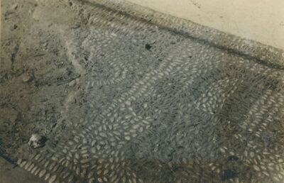 Novi Dvori Klanječki (Klanjec) - Dvor Erdödya, detalj, mozaik
