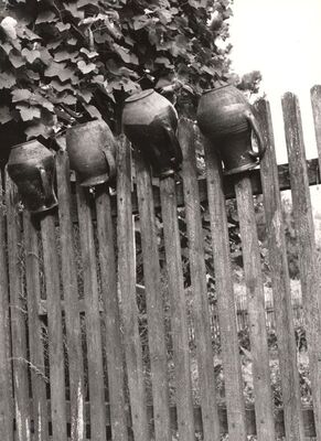 Ruča - Ćupovi za mlijeko