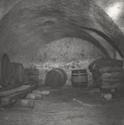 Ribnik - Stari grad, prvi kat