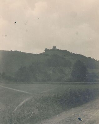 Krstinja (Vojnić) - Stari grad Krstinja, pogled