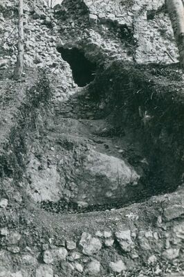 Zelingrad - Stari grad Zelingrad, južno gradsko platno