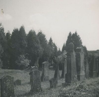 Varaždin - Židovsko groblje, nadgrobni spomenici