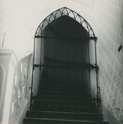 Trakošćan - dvorac, podest prizemlja, stubište