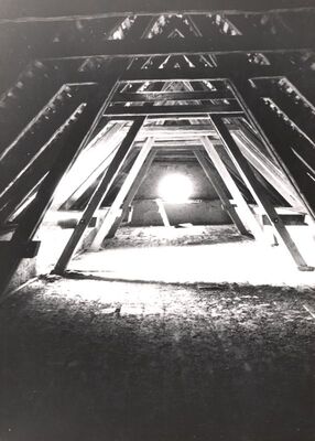 Jakovlje - Dvorac Oršić, krovna konstrukcija