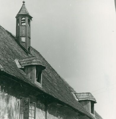 Vukovina - Kurija Alapić, detalj krova s tornjićem