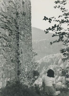 Grtovec (Budinščina) - Srednjovjekovni grad Milengrad