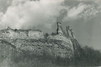 Vinica (Varaždin) - ruševine srednjovjekovnog grada