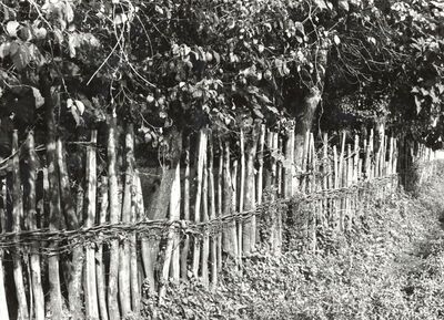 Veleševec - Detalj ograde