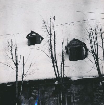 Karlovac - Francuski magazini, krovni prozori