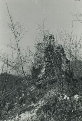 Vojnovec Loborski (Lobor) - Srednjovjekovni grad, ruševina