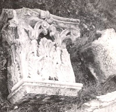 Januševec - Dvorac Januševec, kapitel pilastra