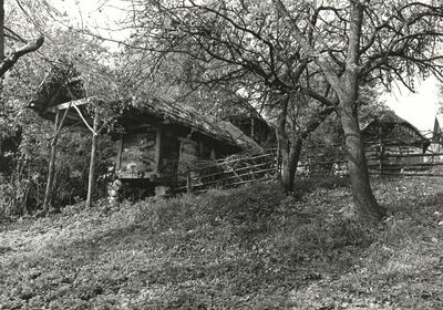 Martinski Vrh (Ribnik) - Gospodarska zgrada