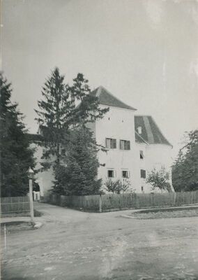 Ivanec - prvotni izgled staroga grada