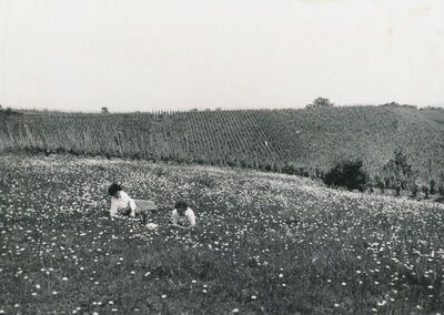 Škaljevica (Ozalj) - Veduta kraja, M. Gamulin i A. Horvat