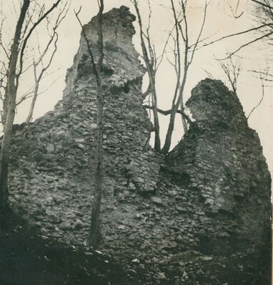 Zelingrad - Stari grad Zelingrad, sjeverni zid stambene kule