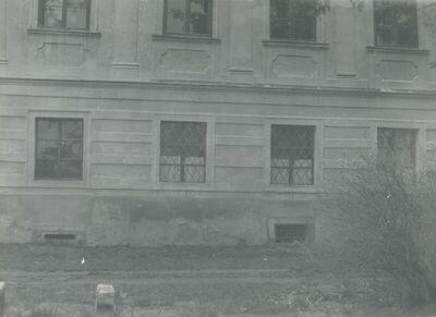 Dvorac Oroslavje Donje (Oroslavje), vanjština, detalj