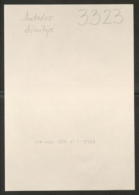 Mutafov, Dimitrije, 7.9.1900. Policijski karton