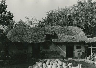 Donja Selnica (Zlatar) - Tradicijsko graditeljstvo, gospodarski objekt