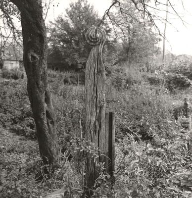 Bukevje - Drveni stup