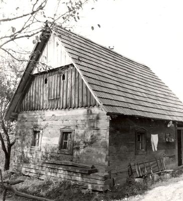 Cvetković Brdo - Tradicijska kuća, zabatno i ulazno pročelje